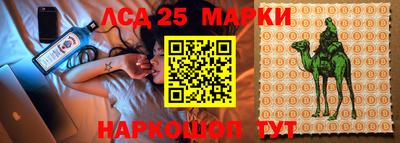 ПСИЛОЦИБИНОВЫЕ ГРИБЫ Новодвинск