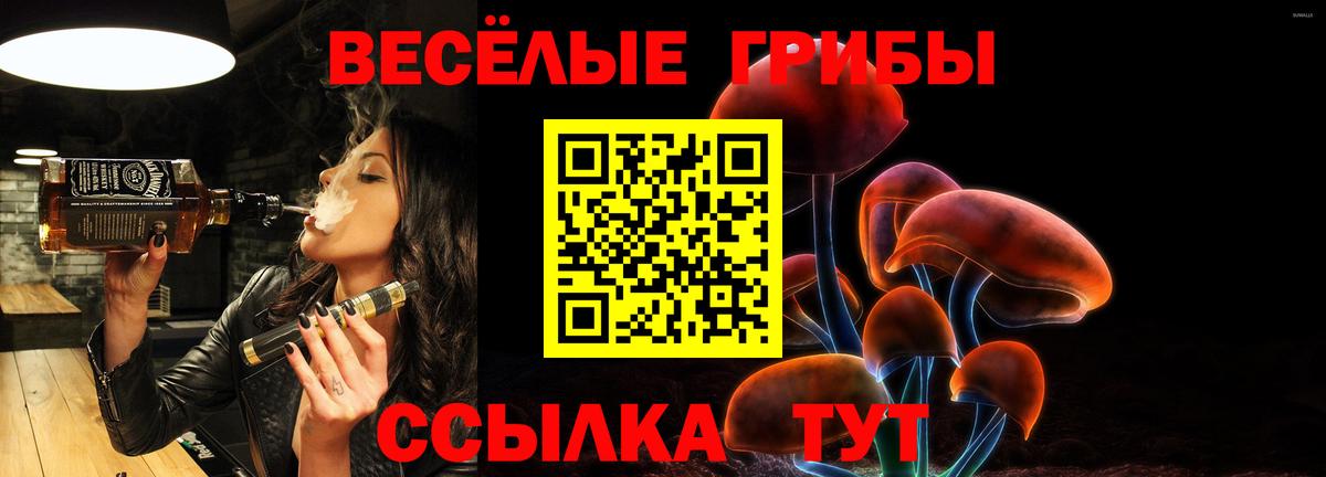 Россия  наркота  Вход с VPN  Галлюциногенные грибы Psilocybine cubensis 